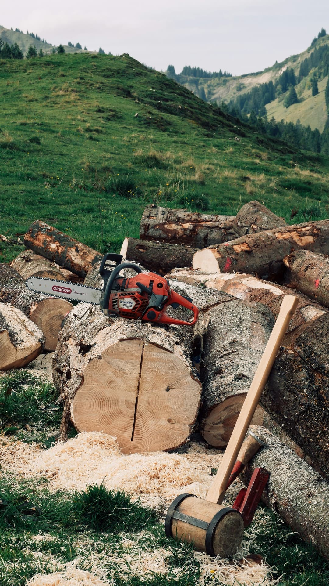 picture of a tree that has been cut into pieces with a chainsaw resting on the tree